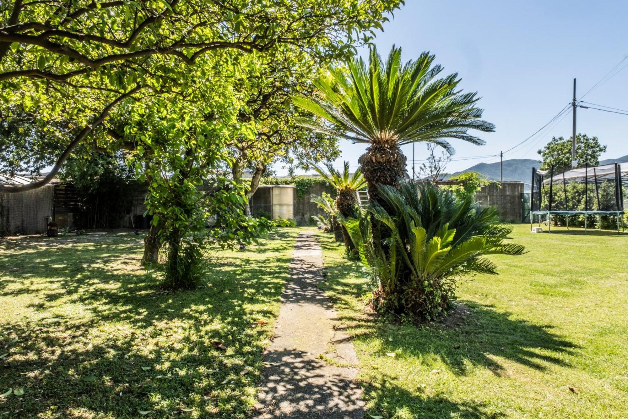 Agriturismo Giorgi Appartamenti In Riviera Ligure Albenga Zewnętrze zdjęcie